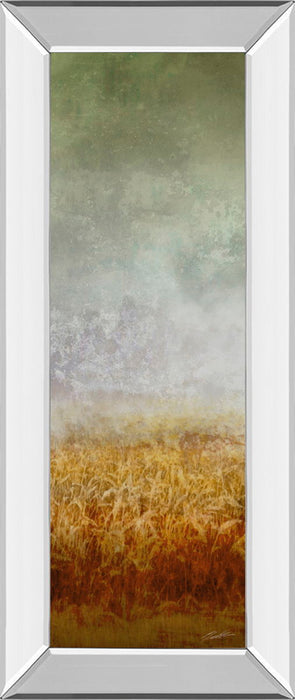 Lush Field I By John Butler - Mirror Framed Print Wall Art - Dark Gray