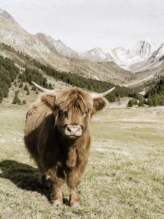 Oetztal Alps By Danita Delimont - Dark Green