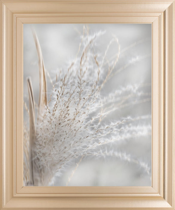 22x26 Summer Wisps I By Irene Weisz - Pearl Silver