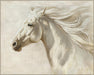Ivory Breeze - 56" x 70" Framed Wall Art - Gray - Albert's Furniture (Wayne, MI)