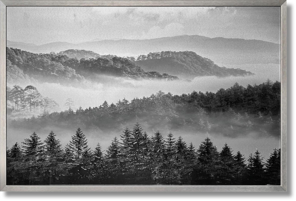 Misty Pine Veil - 32" x 47" Framed Wall Art - Gray - Albert's Furniture (Wayne, MI)