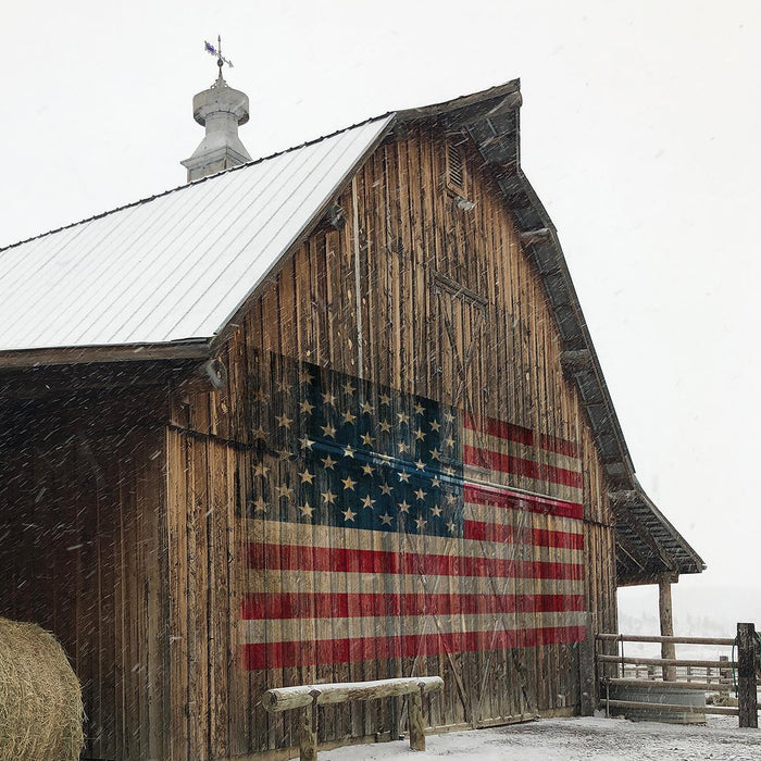 America Proud By Carol Robinson - Light Brown