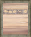 Desert Blossom - 28" x 34" Framed Wall Art - Beige - Albert's Furniture (Wayne, MI)