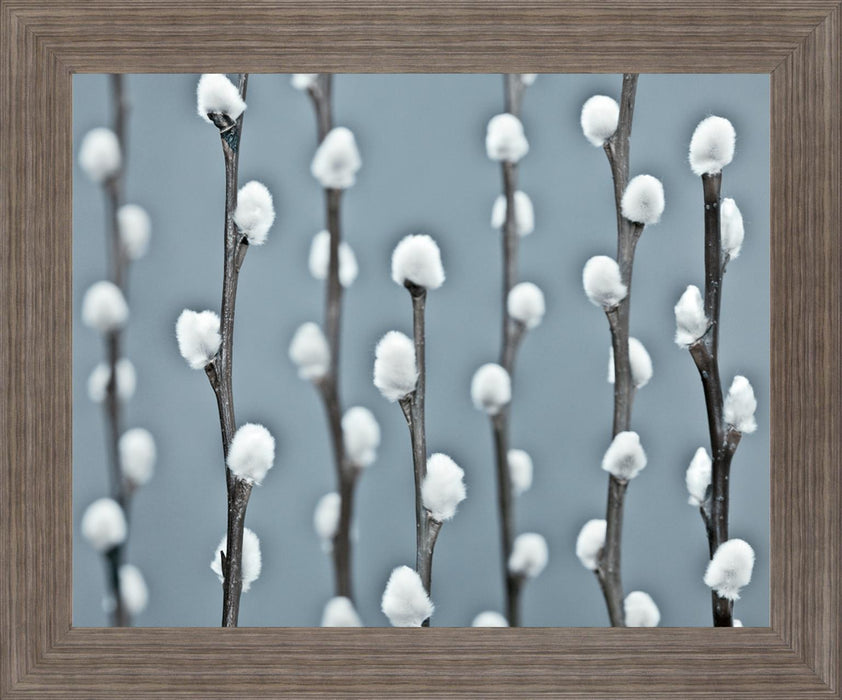 Winter Willow - 28" x 34" Framed Wall Art - Gray - Albert's Furniture (Wayne, MI)