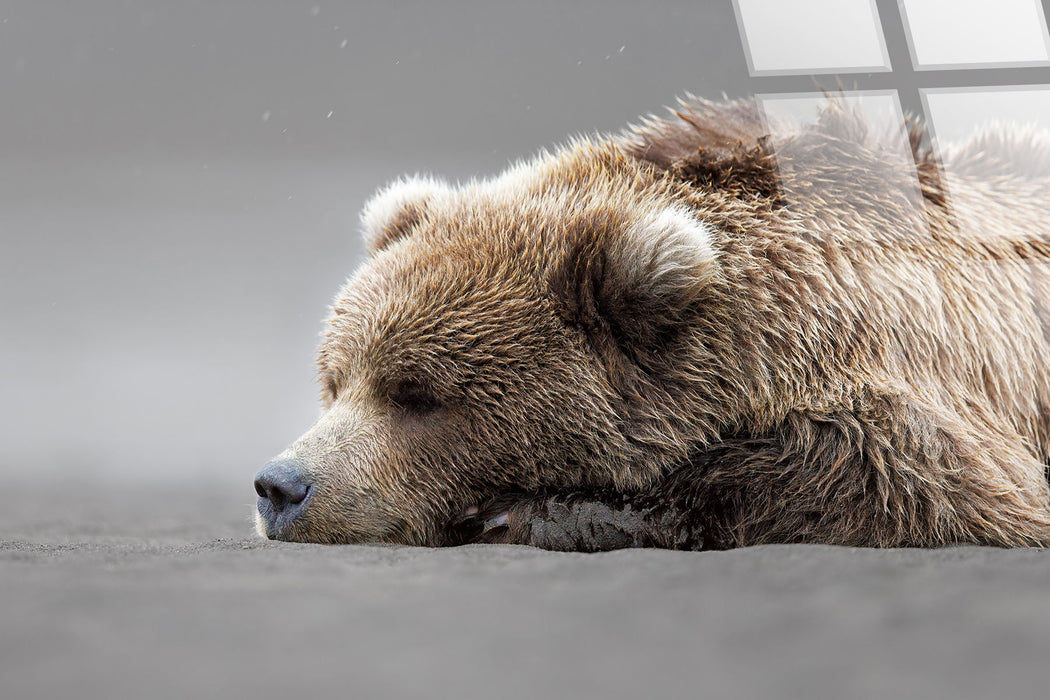 "Serene Slumber" Tempered Glass - Brown / Gray