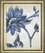 22x26 Vintage Porcelain II By Chariklia Zarris - Blue - Albert's Furniture (Wayne, MI)