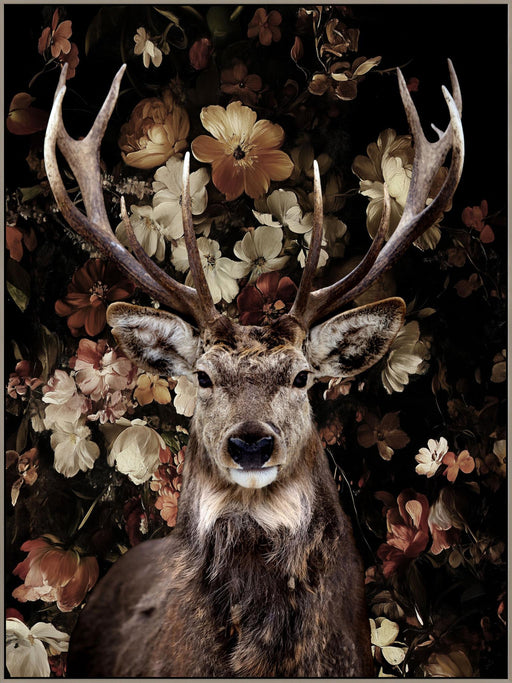 Majestic Stag Florals - 36" x 48" Framed Wall Art - Dark Brown - Albert's Furniture (Wayne, MI)