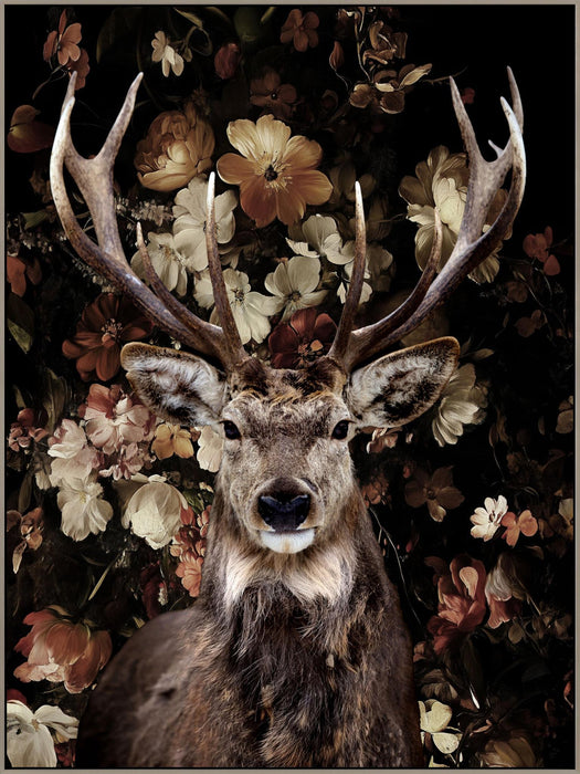 Majestic Stag Florals - 36" x 48" Framed Wall Art - Dark Brown - Albert's Furniture (Wayne, MI)