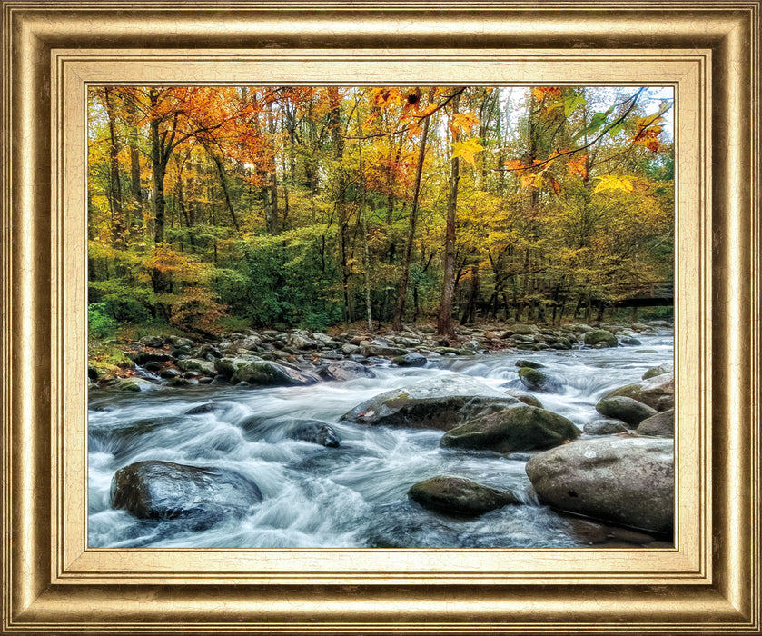 Painted Autumn By D. Burt - Framed Print Wall Art - Green