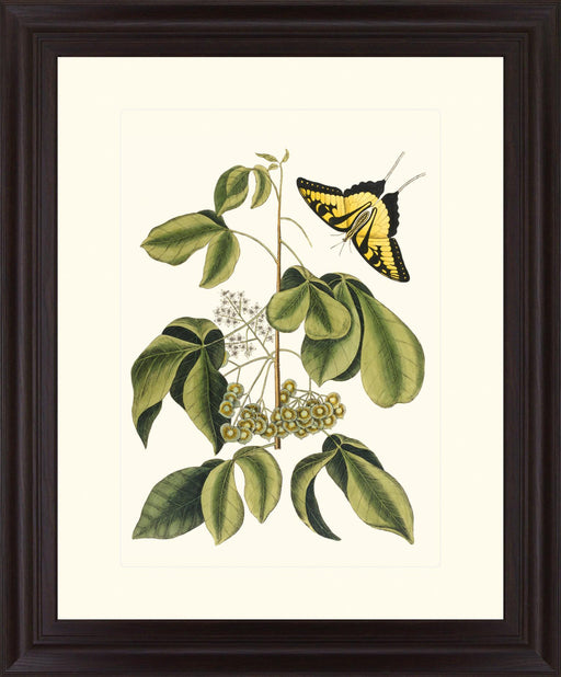 Butterfly Grove - 28" x 34" Framed Wall Art - Green - Albert's Furniture (Wayne, MI)