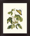 Butterfly Grove - 28" x 34" Framed Wall Art - Green - Albert's Furniture (Wayne, MI)