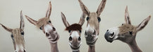 Whimsical Brows - 20" x 60" Framed Wall Art - Albert's Furniture (Wayne, MI)