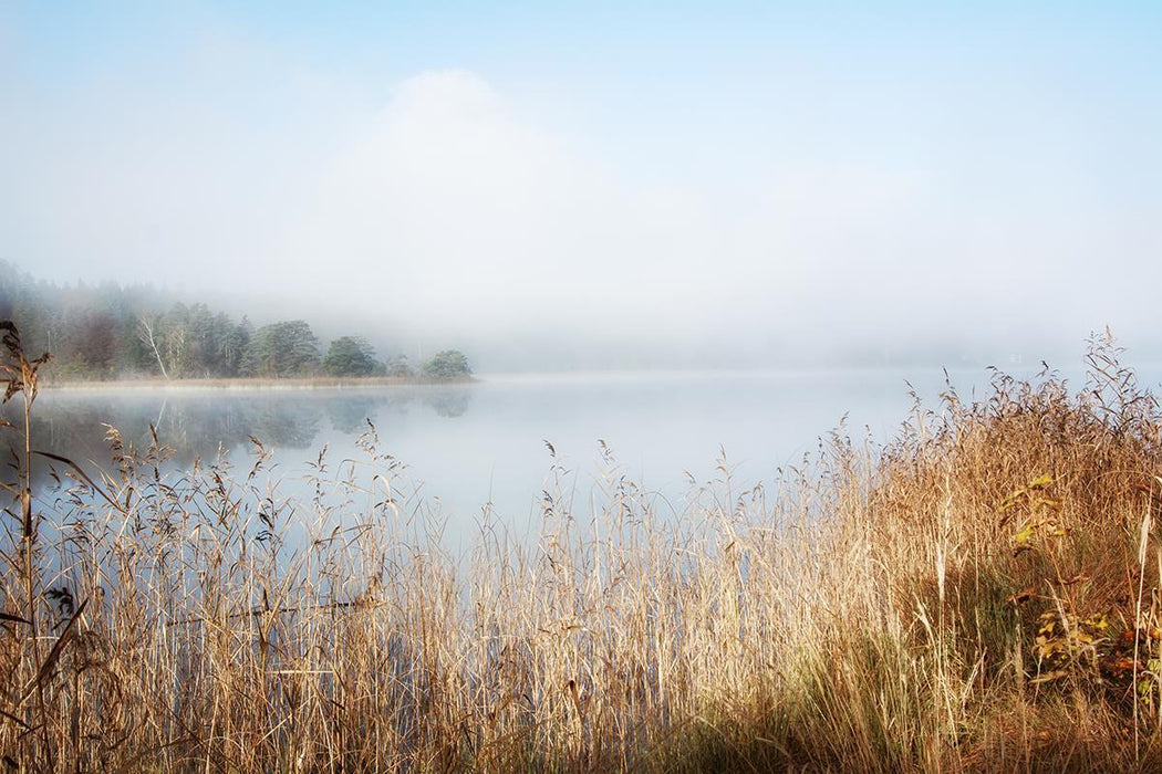 Enjoy Lovely Nature By Irene Weisz - Light Blue