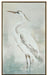 Mist Plumage - 39" x 24" Framed Wall Art - Gray - Albert's Furniture (Wayne, MI)